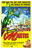 Deadly Mantis