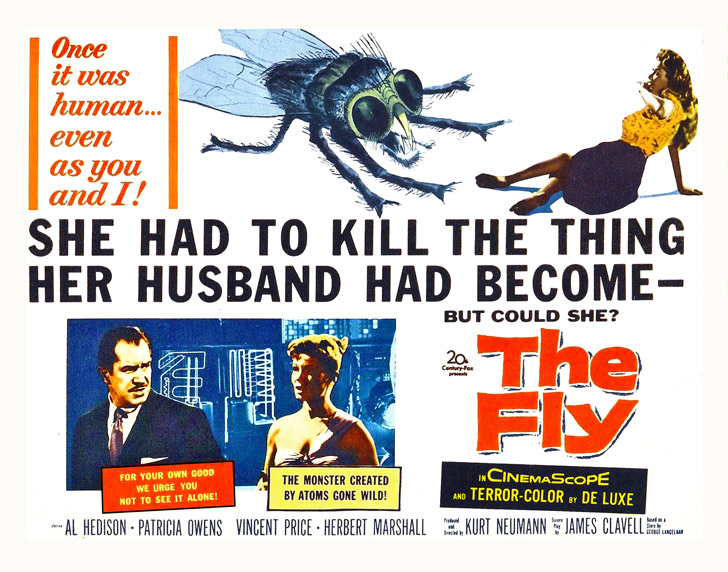 The Fly!