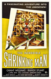 Incredible Shrinking Man