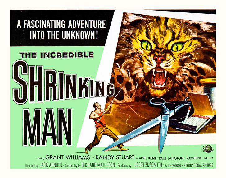 Incredible Shrinking Man