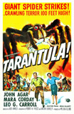 Tarantula