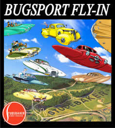 Bugsport Fly-inin