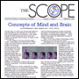 AAPA Scope Newsletter