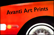 Avanti Art Prints