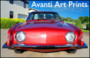 Avanti Art Prints