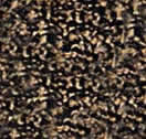 Carpet Sample