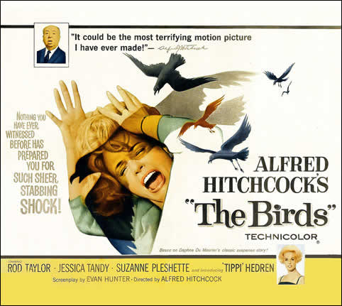 Birds Movie Poster