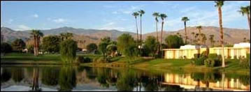 Palm Springs Landscape